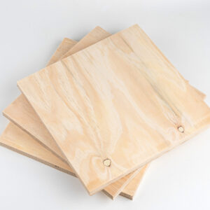 BC Combi (pinus+eucalipto)